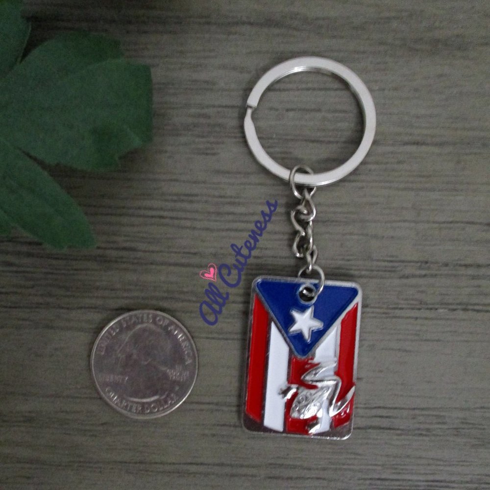 🎀  Puerto Rico Flag Keychain - Picture 3 of 5